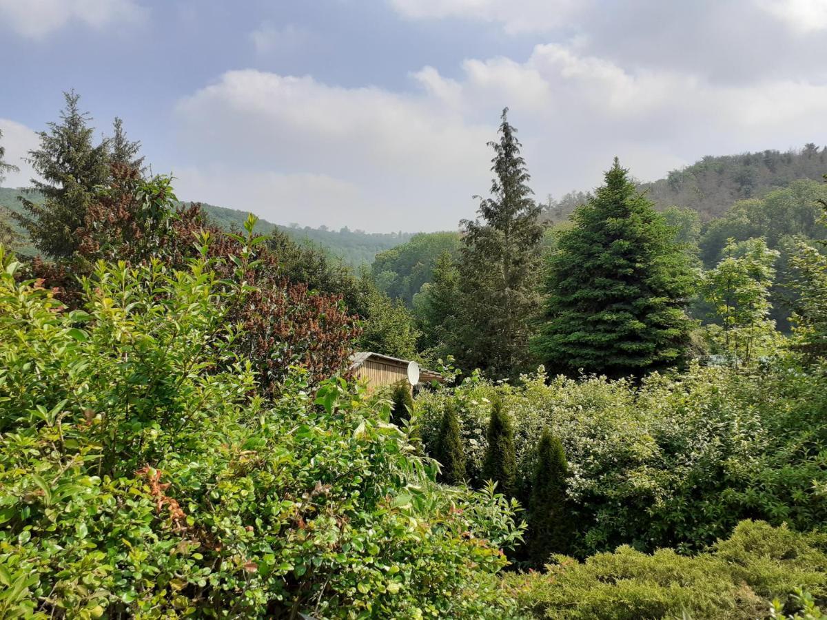 Talblick 2 - Ihr Zuhause : Das Ferienhaus Mitten Im Idyllischen Tal Bad Bibra Exterior foto
